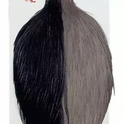 Whiting Combo Starter