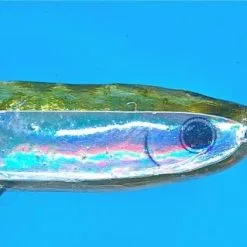 Fleye Foils (Bob Popovice)